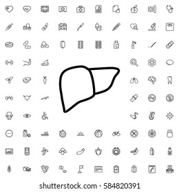 liver icon illustration isolated vector sign symbol. Health icons set.