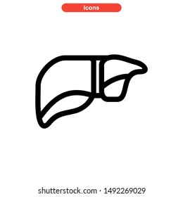  
liver icon isolated sign symbol vector illustration - high quality black style vector icons

