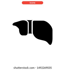 
liver icon isolated sign symbol vector illustration - high quality black style vector icons
