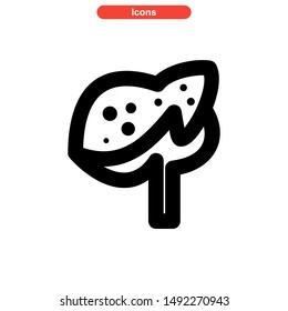 liver icon isolated sign symbol vector illustration - high quality black style vector icons
