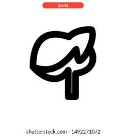 liver icon isolated sign symbol vector illustration - high quality black style vector icons
