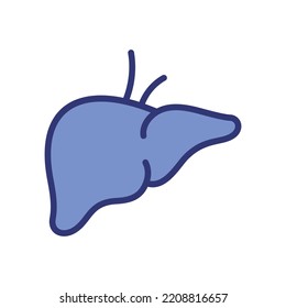 Liver icon on white background