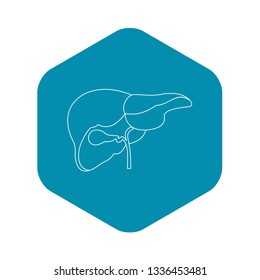 Liver icon. Outline illustration of liver vector icon for web