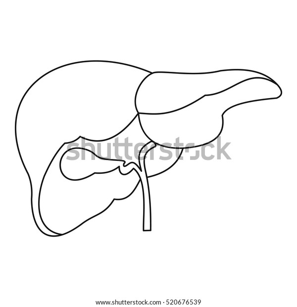 Liver Icon Outline Illustration Liver Vector Stock Vector (Royalty Free ...