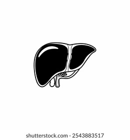Ícone do fígado. Ícone vetor silhueta do fígado isolado no fundo branco. ícone médico fígado humano. 
