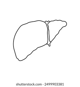 Liver icon vector. Human organ illustration