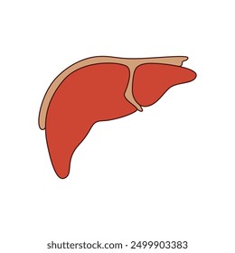 Liver icon vector. Human organ illustration