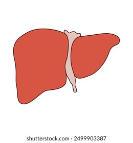 Liver icon vector. Human organ illustration