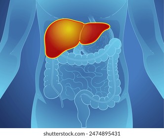 Liver inflammation Liver disease. Healthcare illustration, vector illustration. 