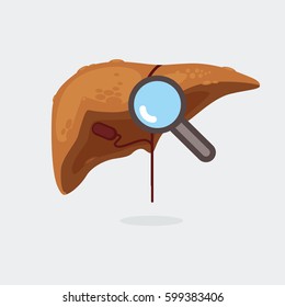liver info graphic vector illustration