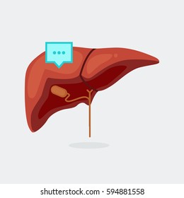 liver infographic vector illustration