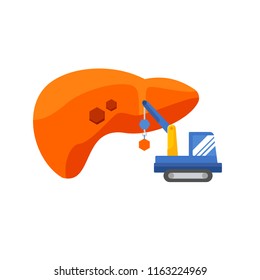 liver infographic vector illustration. Treatment regeneration decay drug. Regeneration of the liver