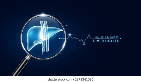 Liver inside magnifying glass with scan search. Health care medical check up too innovative futuristic digital technology. Body health checkup examining organ and blue glowing neon heart pulse. Vector