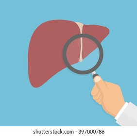 Liver inspection concept. Hand inspecting liver with magnifying glass. Flat design