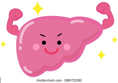 Liver, licorice, internal organs, organs, health, well