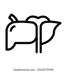 liver line icon illustration vector graphic