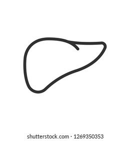 liver. linear icon. Line with editable stroke