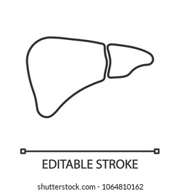 Liver linear icon. Thin line illustration. Digestive gland. Contour symbol. Vector isolated outline drawing. Editable stroke
