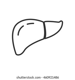 liver linear icon. Thin line design