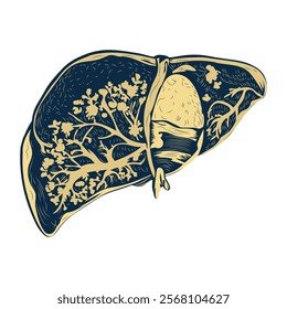 Liver lobule illustration in vintage style