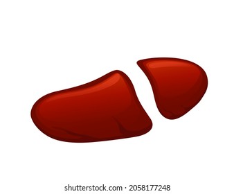 Liver meat, beef or pork, natural healthy nutrition product. Vector doodle cartoon flat trendy illustration hand drawn