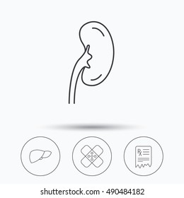 Liver, medical plaster and prescription icons.