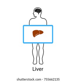 Liver on screen. Vector illustration.