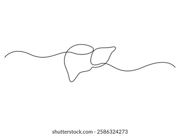 Liver in one continuous line drawing, minimalism. Vector illustration