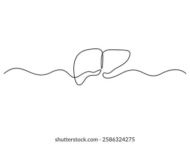 Liver in one continuous line drawing, minimalism. Vector illustration