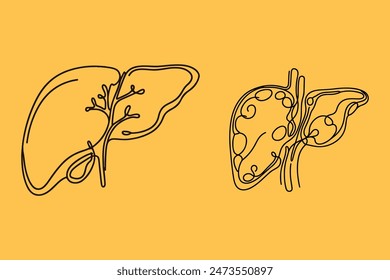 liver  one outline vector illustration
