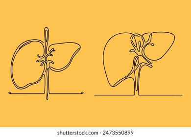 liver  one outline vector illustration