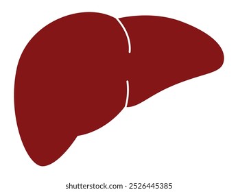 Órgão de fígado versão colorida anatomia ciência biologia aprendizagem educação design