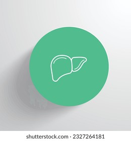 el hígado es un órgano situado en la parte superior derecha del vientre (abdomen)
