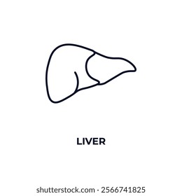 liver outline icon. Linear vector from medical concept. Thin line liver icon isolated on white background