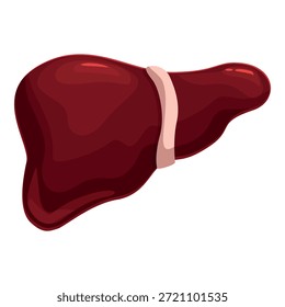 Hígado que realiza funciones vitales, como filtrar sangre, producir bilis y regular el metabolismo