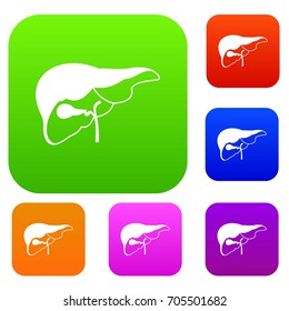 Liver set icon in different colors isolated vector illustration. Premium collection