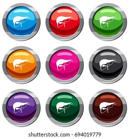 Liver set icon isolated on white. 9 icon collection vector illustration