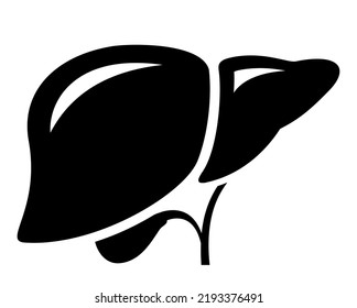 Liver shape vector icon on white background, liver internal organ illustration.