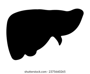 Liver silhouette vector art white background