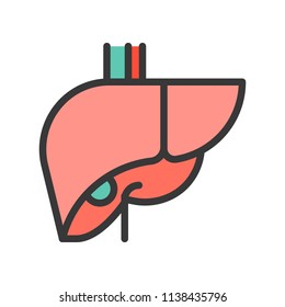 liver simple filled outline icon, medical and organ set
