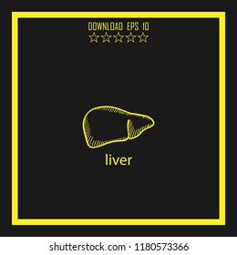 liver sketch vector icon