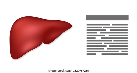 Liver with space for text isolated on white background