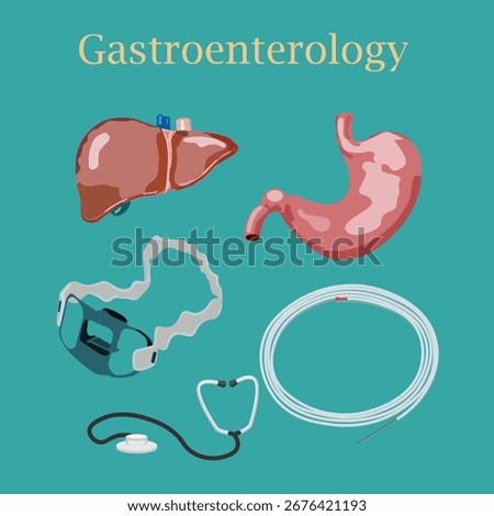 liver, stomach and objects of gastroenterological examination: mouthpiece for endoscopy, gastroenterological probe, phonendoscope, on aquamarine background