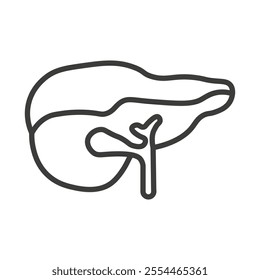 Liver thin liner icon vector.