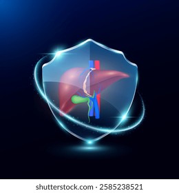 Liver in translucent glass shield modern. Surrounded by glowing ring safety guardian. Human anatomy organ on blue background. Medical health care immunity and protection concept. Vector EPS10.