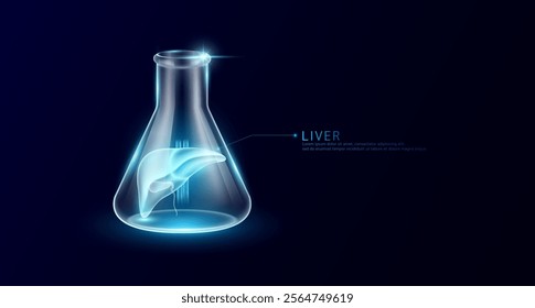 Liver transparent in beaker glass triangle test tube on dark blue background. Internal organ anatomy sample medical science experiment. Research genetic scientific concept. Vector EPS10.