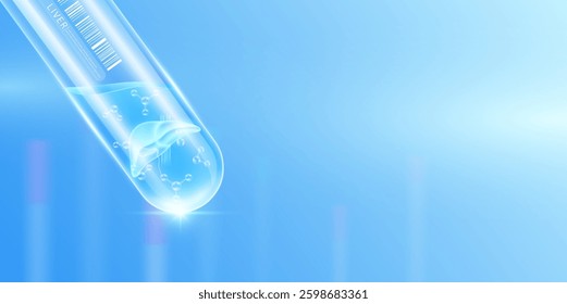 Liver transparent and molecule in glass test tube with empty space for text. Human internal organ anatomy sample science research experiment. Medical scientific concept. Banner vector.