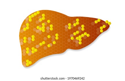 Liver treatment with hexagons, vector art illustration.