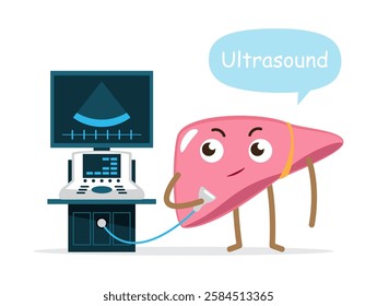 Liver and ultrasonography machine, Cute medical cartoon character, Liver check-up concept, Vector .