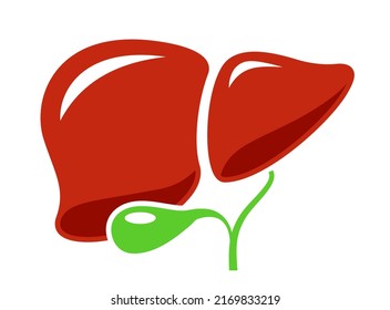 Liver vector cartoon, human liver internal organ on white background